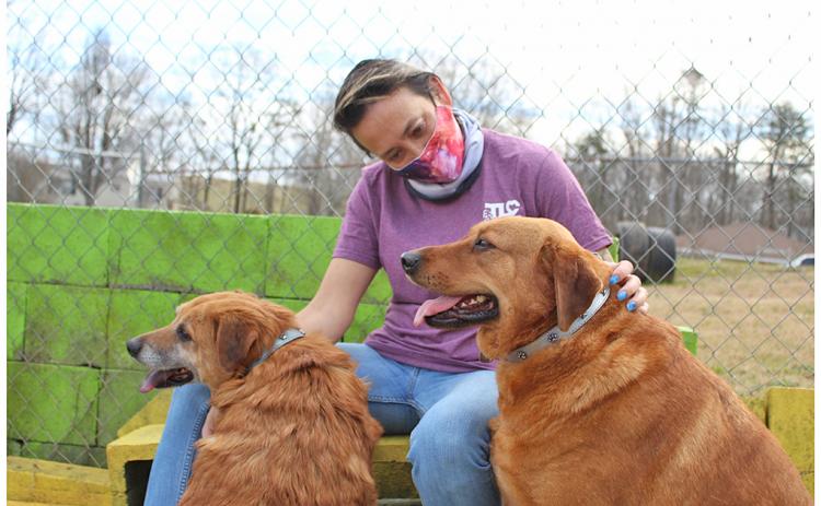 TLC Humane Society's lead caregiver Christine Sheppard shares a moment with Annie (left) and Buckle, a pair of bonded dogs at the shelter. Bonded pairs tend to be overlooked when it comes to adopting a new pet, as most applicants only plan on adopting one animal at a time, causing animals like Annie and Buckle to spend a longer than average time at the shelter.