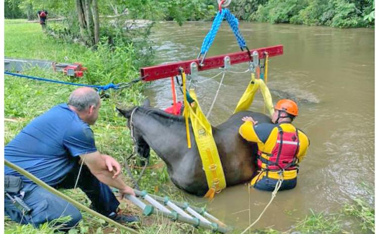 A multi-agency effort was needed to rescue Nova the horse when she sunk into the muddy banks of the Chestatee last week.