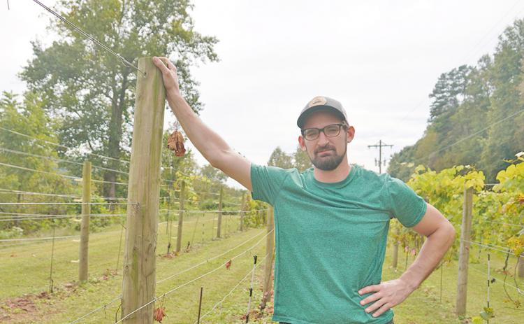 Tyler Barnes, co-owner and winemaker at Accent Cellars, is frustrated and confused about recent damage done to his small vineyard at the top of the winery property. Barnes estimates the damage to be around $6,000 worth, affecting around 20 percent of his vineyard.