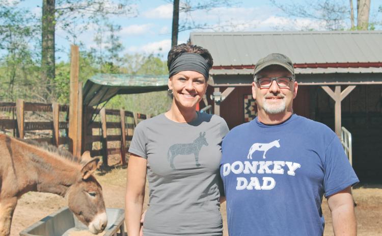 Healing Herds Sanctuary founders Aimee and Jim Guidetti began their mission to provide a home for abused and neglected donkeys in late 2021.