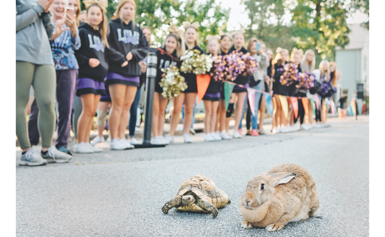The tortoise and the hare battled it out for supremacy at last year’s ConnectAbility 5K. (Photo courtesy of Reagan Powell)
