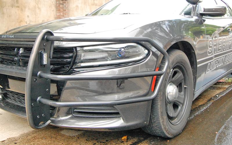 Deputies dodge dog attack