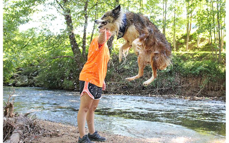 Amy Looby and Sienna the Australian-mix make a great team as new members of the Dahlonega Toss &amp; Fetch Club.
