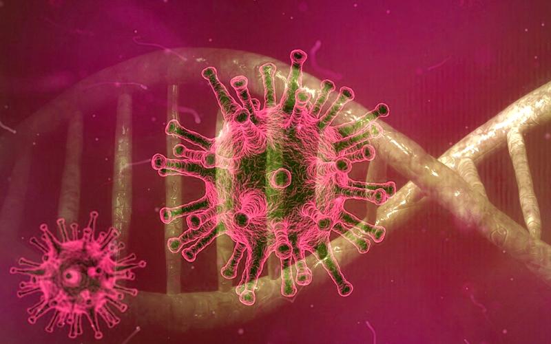 Coronavirus case confirmed for Lumpkin County