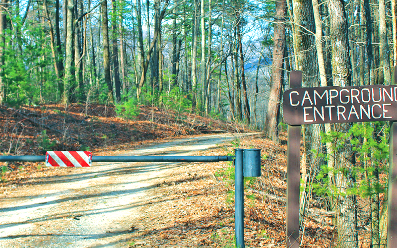 The USDA recently reopened several trails and dispersed camping sites in the Chattahoochee-Oconee National Forest last week and hinted that more areas could open back up in the coming weeks.