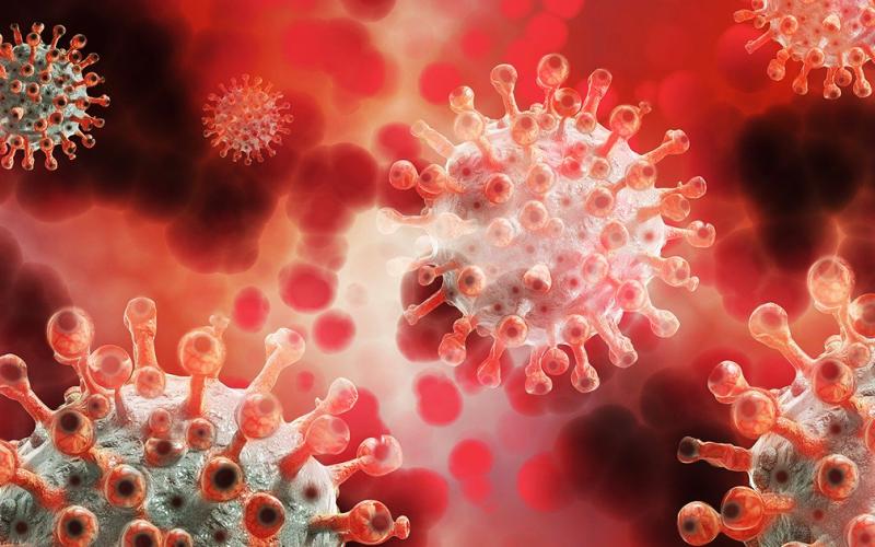 coronavirus