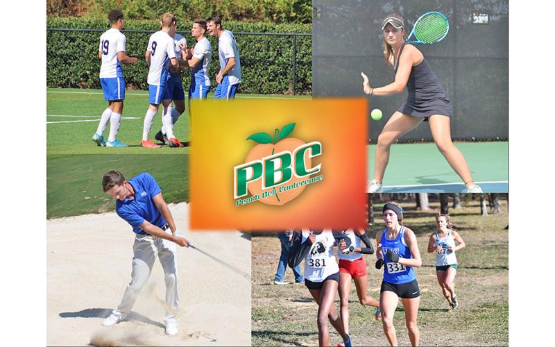 North Georgia fall sports