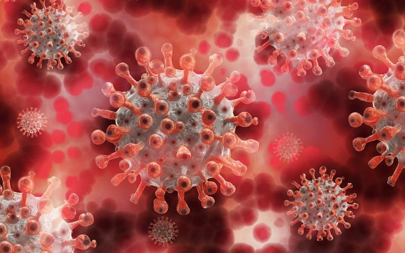 The local COVID count currently stands at 2,638 cases since the beginning of the pandemic.