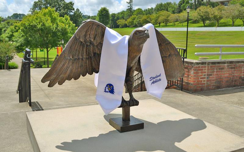 UNG