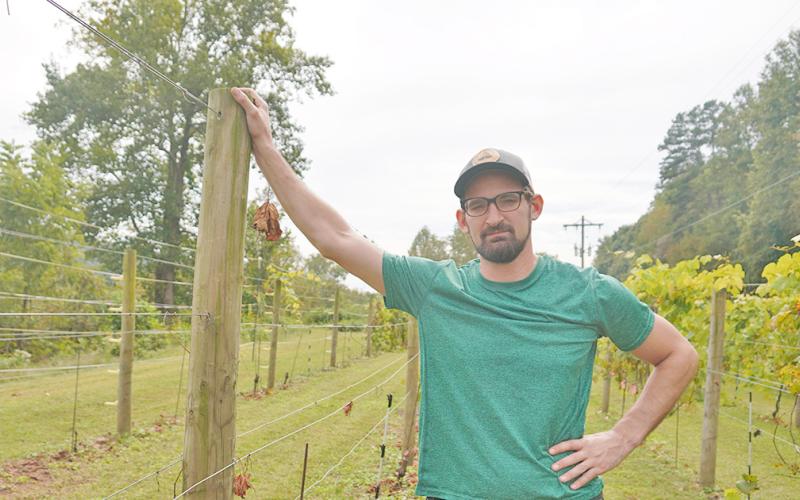 Tyler Barnes, co-owner and winemaker at Accent Cellars, is frustrated and confused about recent damage done to his small vineyard at the top of the winery property. Barnes estimates the damage to be around $6,000 worth, affecting around 20 percent of his vineyard.