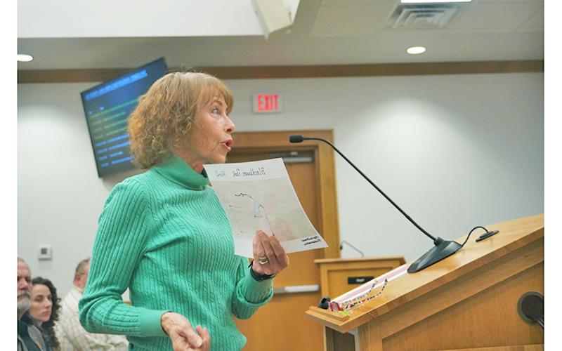 Dedee Formica voices her opinions about the proposed Animal Shelter at the recent Board of Commissioners public hearing.