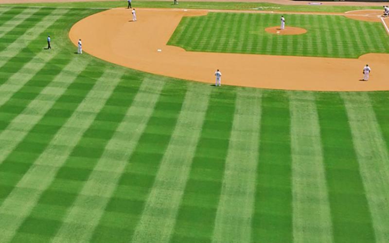 The 2021 World Series trophy won by the Atlanta Braves will make a stop at UNG’s Dahlonega Campus from 2-6 p.m. Feb. 25, which is before and during a Nighthawks baseball game.