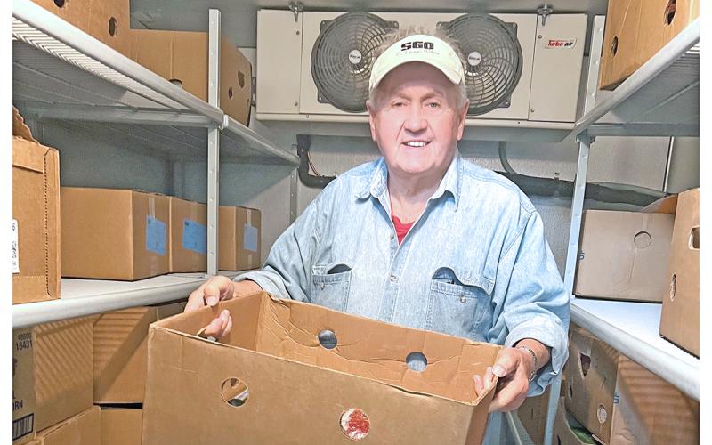 Volunteer Ben English helps organize donations at the local food pantry (Photo by Melanie Segalla)