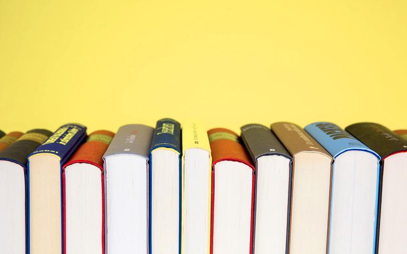 The Dahlonega Literary Festival will return on Saturday, March 4 with panel discussions and workshops that are free to the public.