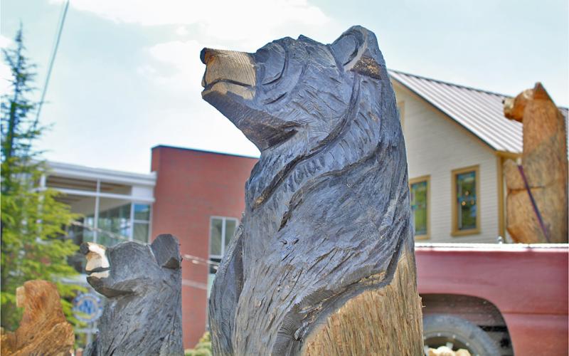 Bear chainsaw carvings
