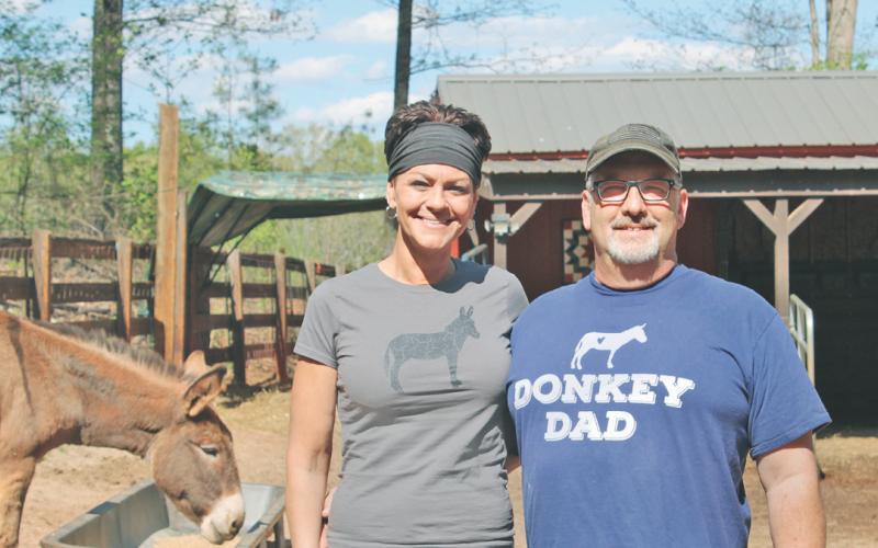 Healing Herds Sanctuary founders Aimee and Jim Guidetti began their mission to provide a home for abused and neglected donkeys in late 2021.