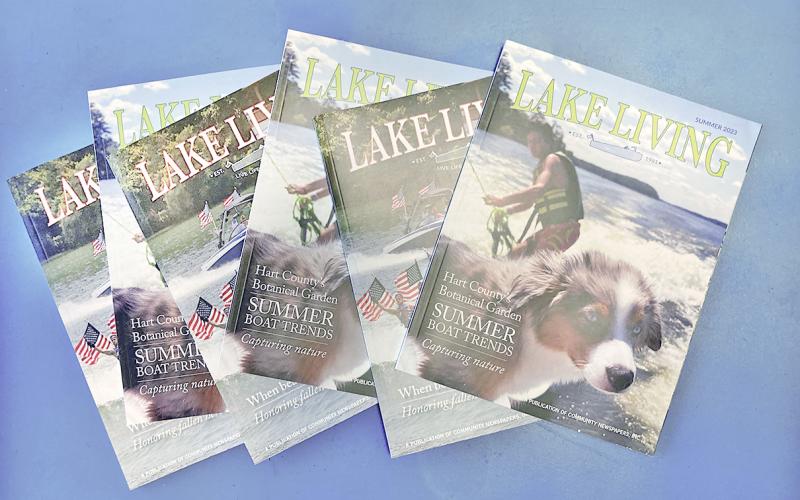 Do you have a great photo of a lake in the northeast Georgia area?  Your winter-themed picture could be selected for the cover of the next edition of Lake Living magazine.