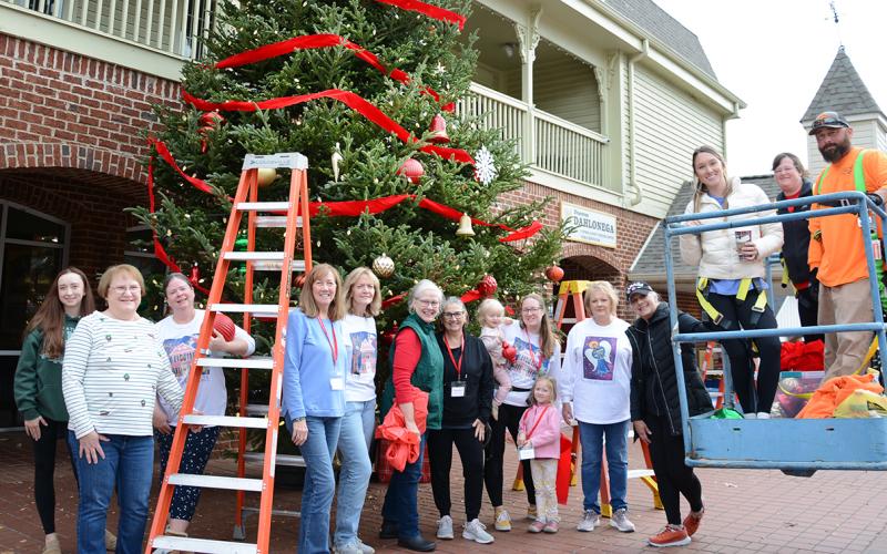 Volunteers from the Old Fashioned Christmas Committee helped City employees to decorate the Christmas tree in front of the Visitors Center last week in preparation for a month of holiday celebrations in downtown Dahlonega. (Photo by John Bynum)
