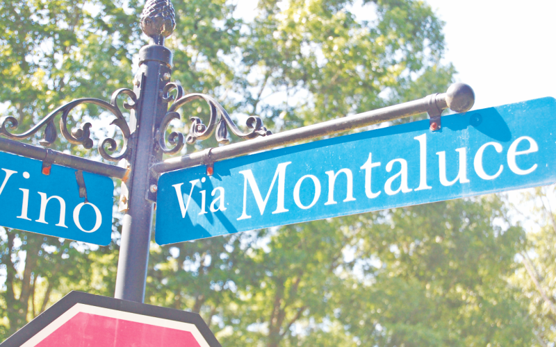The Lumpkin County Planning Department heard comments from a representative for the developer, as well as area residents regarding a proposal to re-zone 472 acres of the Montaluce subdivision and surrounding property as commercial.