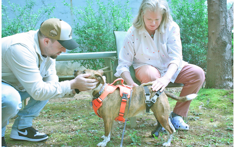 Alex Keeling helps UNG student Cathy McLendon strap on a prosthetic leg that McLendon designed and produced through 3D technology for his dog Luna.