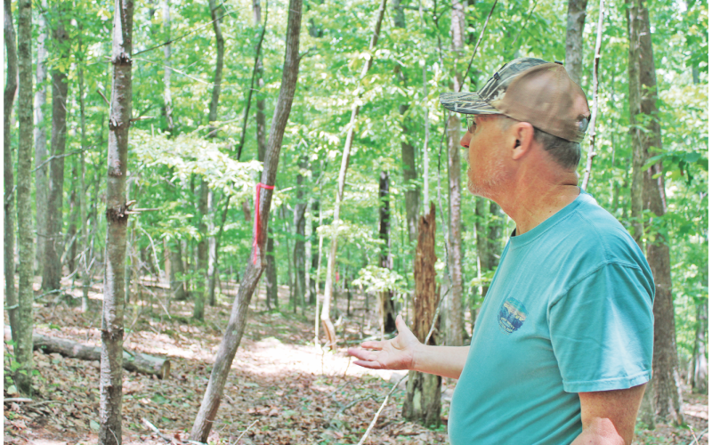 Dr. Trent Conner points out a red survey flag marking the limit of disturbance for a potential two-lane paved road that would run behind his Rock House Road property.