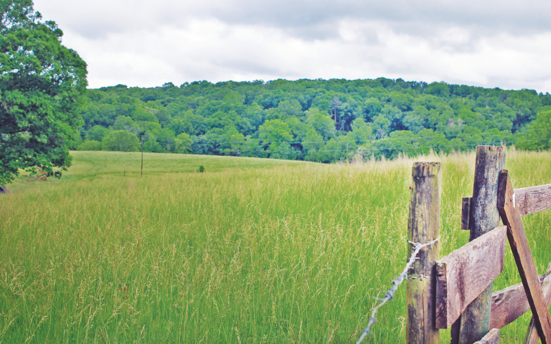 The 110.1-acre property located at 3084 Town Creek Church Road will likely be the future site of the DiVine Village Luxury RV Resort.