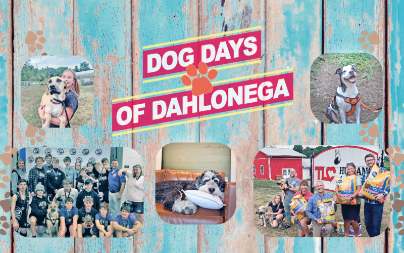 Check out all the fun in the special section in Dog Days of Dahlonega! It’s an animal extravaganza that represents Lumpkin County’s love for our four-legged friends. Inside this week’s print edition and E-edition.