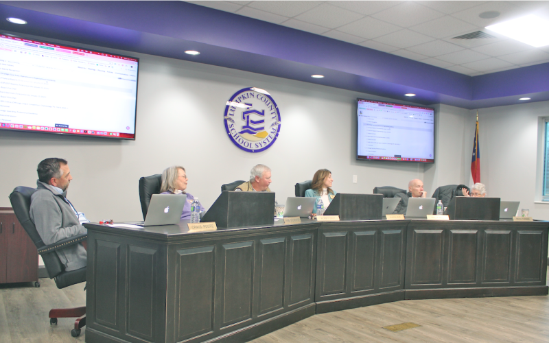 Board of Education member Mera Turner shares her thoughts on the testing methodology with the rest of the Lumpkin County BOE.