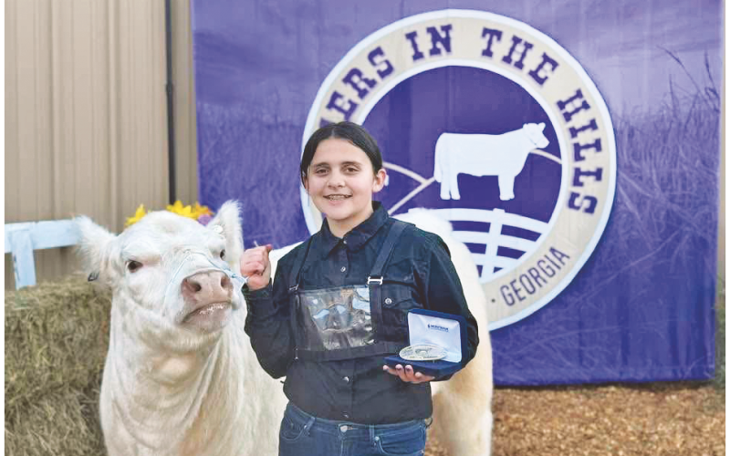 Lumpkin County sixth grade student Mackenzie Wigington celebrates a hard-fought victory in Showmanship with her white heifer, Angel. (Photo submitted to The Nugget)