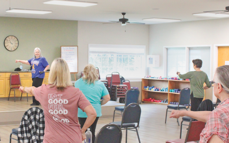 Instructor Gail Blankenship leads her class during a morning session of Tai Chi for Health at the Lumpkin County Senior Center.