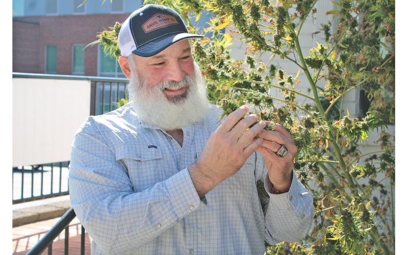 Blue 42 Market and Blue 42 Organics co-owner Henry Ostaszewski inspects a cannabis bud outside his business on South Chestatee Street. The facility is licensed for growing and storage under current state law, and he hopes to obtain a processing license in the future.
