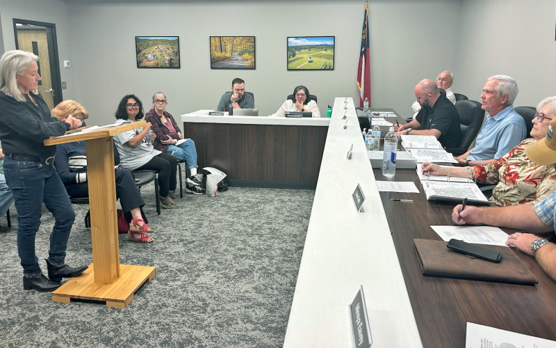 Candida Petite presents her plan for a new farm-friendly development called Mountain Sanctuary Ranch to the members of the Lumpkin County Planning Commission.