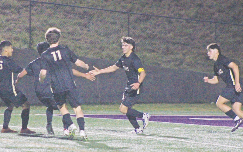 Devin Alvarez celebrates his goal against Dawson with his Lumpkin teammates.