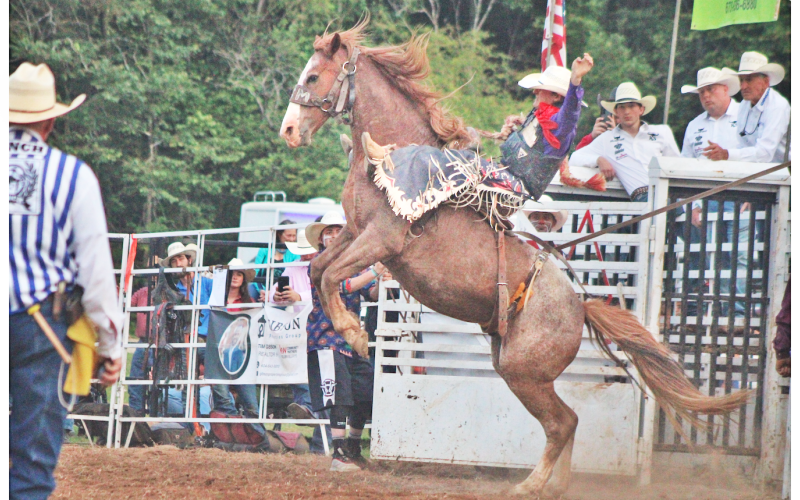 The local R-Ranch hosted the 37th annual Mountain Top Rodeo last weekend. Fans packed the stands and top riders from all over attended the event. Pictured: Tate Minor competes in the saddle bronc event.