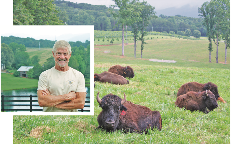 Owner Kim Chapman stands in front of a breathtaking view at KC Bison Ranch as a herd of bison settle into the pasture below.