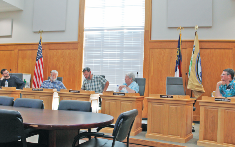 Members of the Dahlonega Planning Commission took a close look at ordinances that govern amplified noise and holiday lighting at a recent meeting.