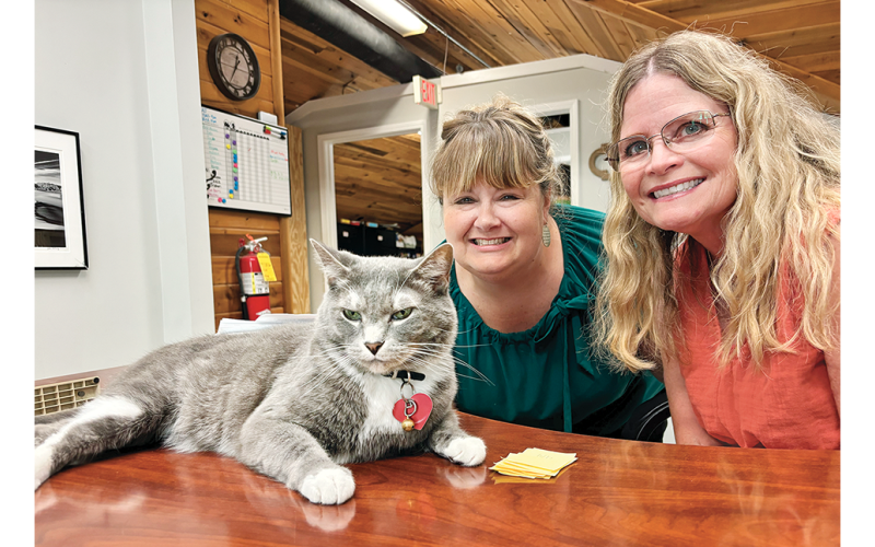 Blue Barry at Community Helping Place is so charming he managed to sneak his way into the Dog Days of Dahlonega special edition. The friendly cat is pictured here alongside CHP Executive Director Melissa Line, left, and Tricia Finesilver.
