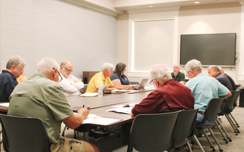 Members of a joint City/County Comprehensive Plan Committee met in the Lumpkin County Library last Friday to discuss potential revisions to their respective vision statements.