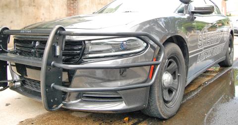 Deputies dodge dog attack