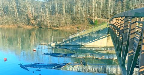 Lumpkin County Board of Commissioners voted unanimously to reopen Yahoola Creek Park and Lake Zwerner Reservoir Trail.