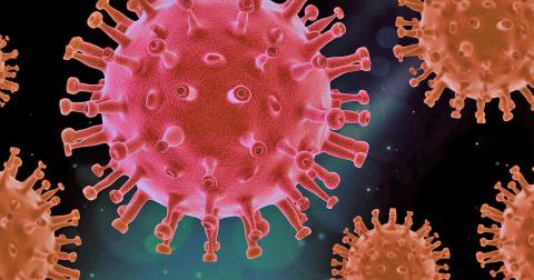 Local virus totals trend downward