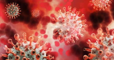 coronavirus
