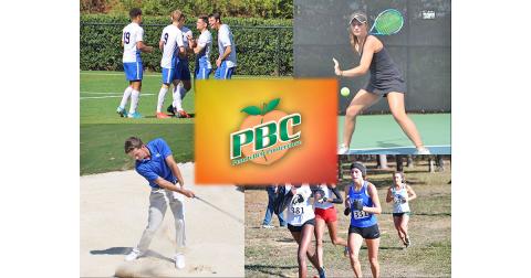 North Georgia fall sports