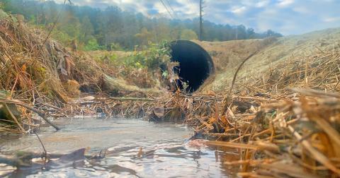 City handles 5,000 gallon sewage spill