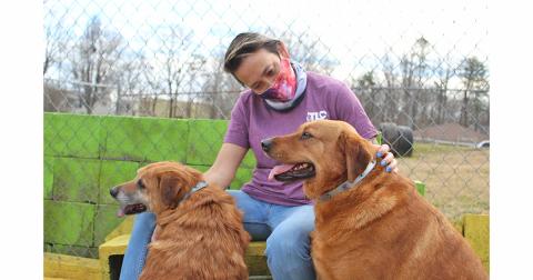 TLC Humane Society's lead caregiver Christine Sheppard shares a moment with Annie (left) and Buckle, a pair of bonded dogs at the shelter. Bonded pairs tend to be overlooked when it comes to adopting a new pet, as most applicants only plan on adopting one animal at a time, causing animals like Annie and Buckle to spend a longer than average time at the shelter.