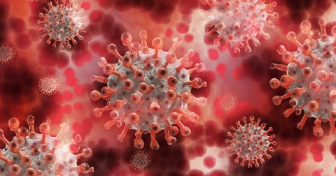 The local COVID count currently stands at 2,638 cases since the beginning of the pandemic.