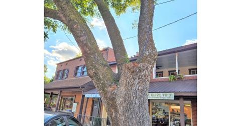 The pecan tree outside of Spirits is considered “high risk” and was recommended for removal by a certified arborist.