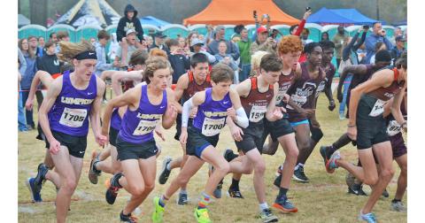 The fast-moving Lumpkin County High School cross-country team takes off from the starting line at the state meet in Carrollton.-photo by Graham Edwards