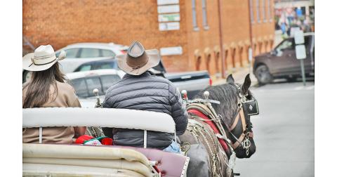 Business has been brisk for David Kraft’s carriage ride company. But he says the City’s request that he move to a new hitching spot has caused complications.