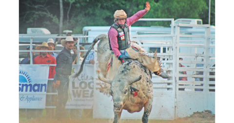Cole Devlin bravely attempts to stay on the saddle in the bull riding competition during the Mountain Top Rodeo at the R-Ranch.